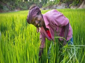 TATA consultancy services – empowering farmers with mobile technology