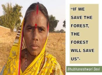 “If we save the forest, the forest will save us”