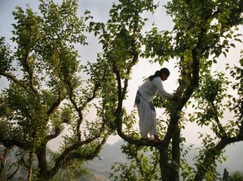 In ‘campaign mode’, states flout FRA rules