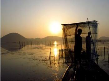 “We can’t even see the fish anymore”