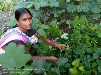 Babita Devi: Becoming Self Reliant through Kitchen Garden
