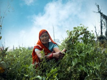 Resource Centres Augment Income Of Women Farmers