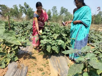 Namita Pujari and Jani Nayak in their field