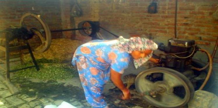 Woman farmer braves odds in male dominated agriculture sector
