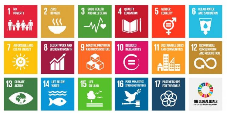 Five questions about the #GlobalGoals you were too embarrassed to ask