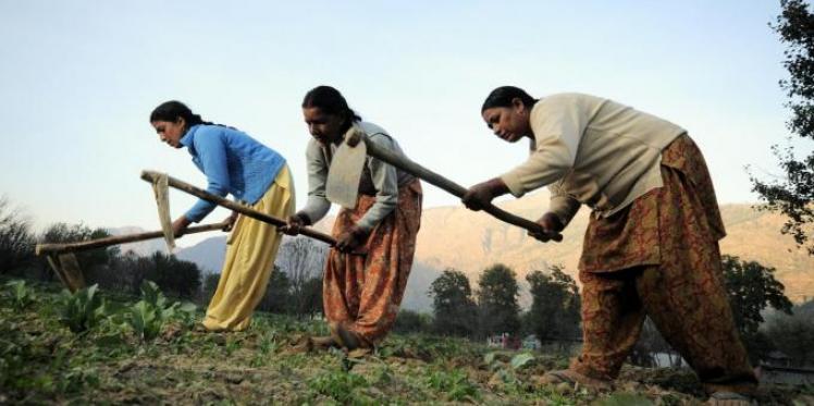 Women farmers working on agricultural land