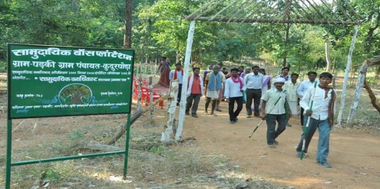Strengthening Communities to Claim Community Forest Rights in Chhattisgarh