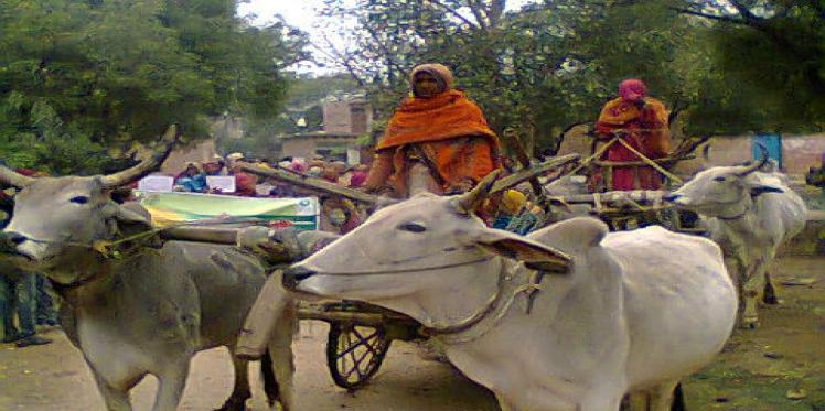 Mobilising Women Farmers to Secure Land Rights in Uttar Pradesh