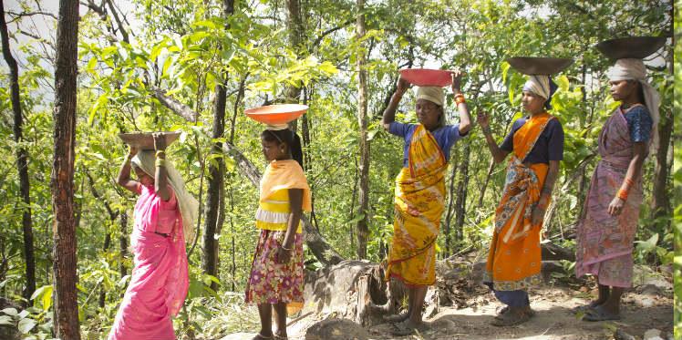 tribal rights and judgement of supreme court in india