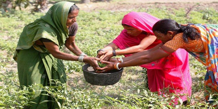 Empowering women farmers in India