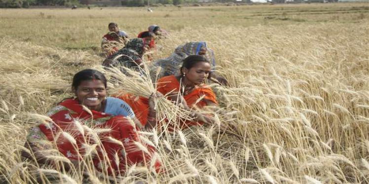 budget 2019, farmers