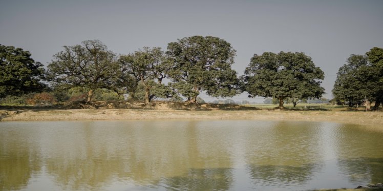 Pokhra (small-pond) of Chhateri village. People and animal both use this pond for drinking purposes. Pic_ Priyansh Tripathi.