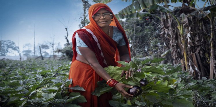Resource Centres Augment Income Of Women Farmers