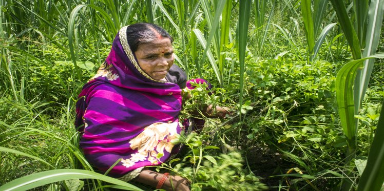 Charter of Demands From Communities engaged in Sugar Cane Cutting in ...