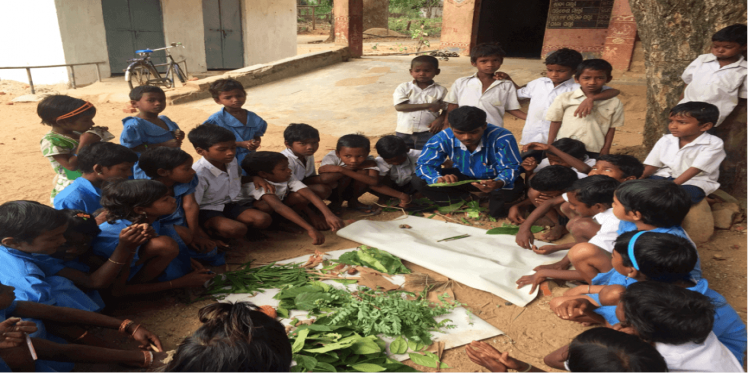 The Consequences of School Closures on Adivasi Children