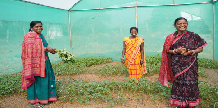 women farmers in the green house with the samplings