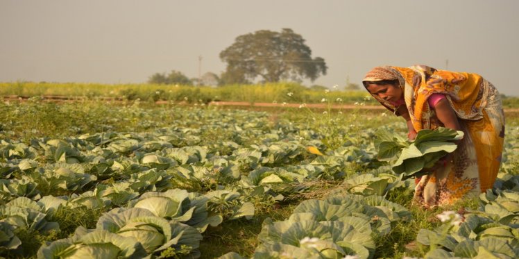 महिलाओं को मिले बराबरी का हक तो बदल सकती है खेती-किसानी की सूरत