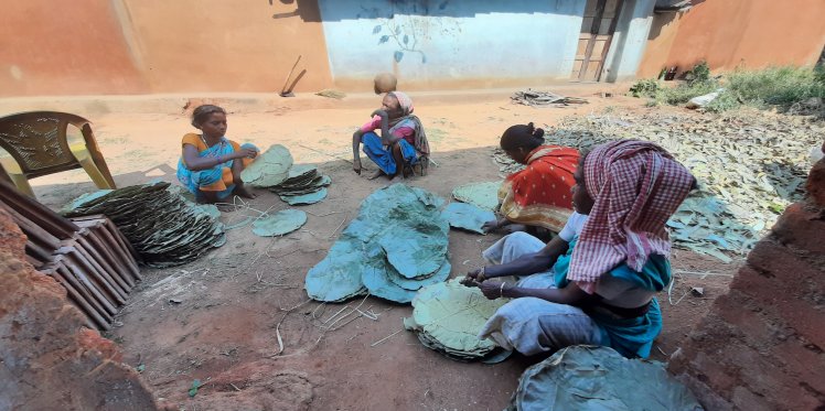 Women Spearheading Leaf Plate Trade
