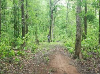 Forest Rights Act India