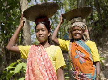 Recommendations on proposed amendments to the Indian Forest Act 1927