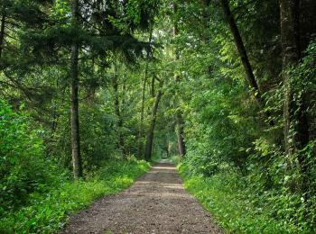 Recognising land rights this International Day of Forests
