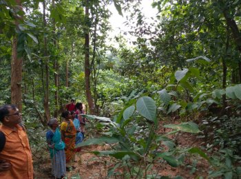 Forest Rights Recognised In Jharkhand for the First Time in Two Years