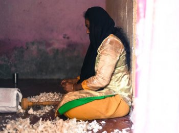 The Food Hive Project: Nourish The Cities