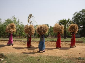 Women Farmers or Labourers?