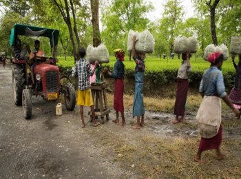 Tea garden workers queue up for the weighing and loading of their day's collection of tea leaves