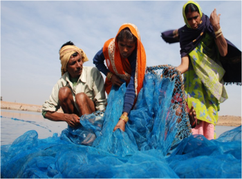Tikamgarh revisited, what’s happened to the amazing fishing communities I visited in 2006?