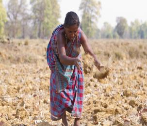 Policy Way Forward for the New Development Bank