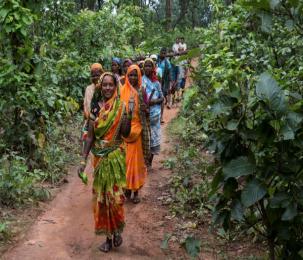 Promise and Performance : 10 years of Forests Rights Act in India