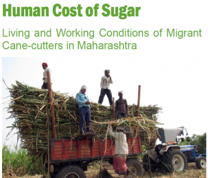 human cost of sugar