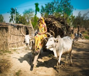 Demands On the Rights of Sugarcane Farmers in Uttar Pradesh and To Make Sugarcane Supply Chain Responsible