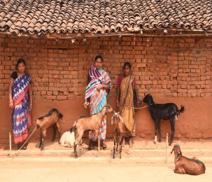 Women farmers from Odisha with their goats