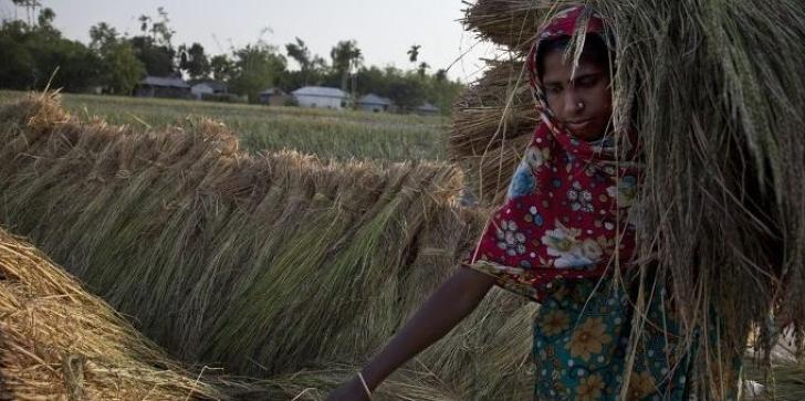 Strengthening women’s right to agricultural land 