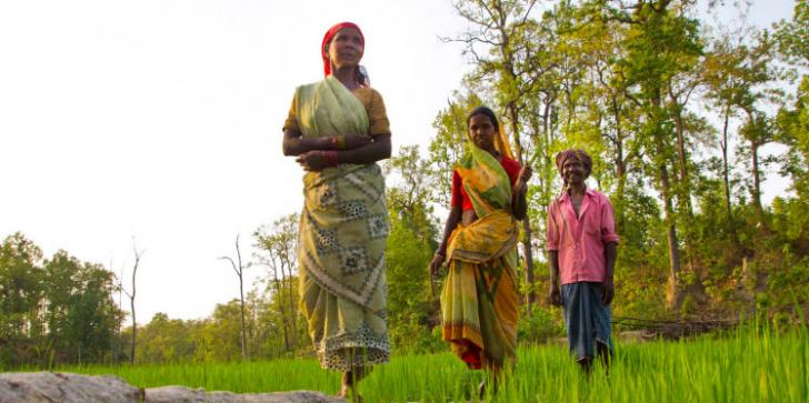 oxfam india's latest annual report 