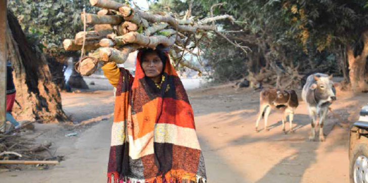 COVID-19 recommendations for tribals and forest dwellers by Oxfam India