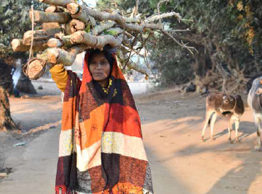 COVID-19 recommendations for tribals and forest dwellers by Oxfam India